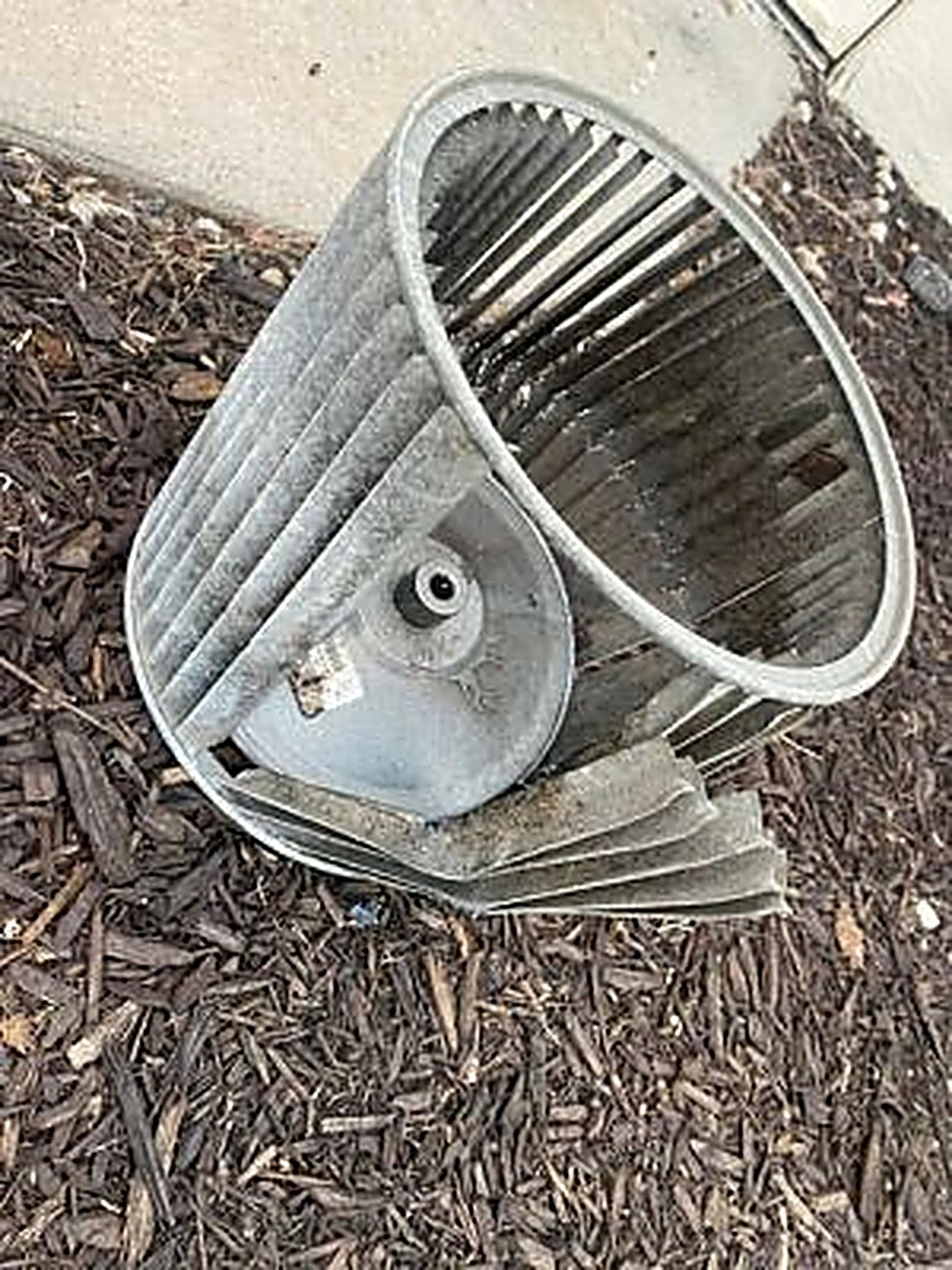 Blower wheel removed for cleaning
